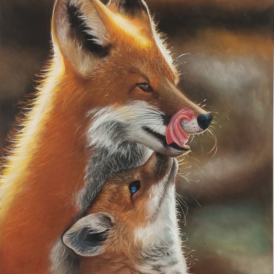 Painted Foxes Painting of a fox parent and child sitting together